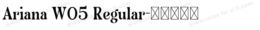 Ariana W05 Regular字体转换